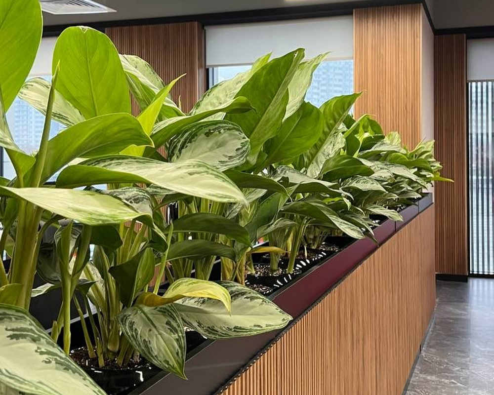 Панель МДФ ACUPAN 61.08.122505.93 зубья 12х122х2760 мм Дуб Слик